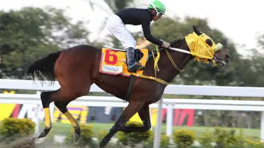 Ninfa del Cielo tiene un hijo de cuatro años que debuta con trabajos previos destacables para la R40 Ninfa del Cielo tiene un hijo de cuatro años que debuta con trabajos previos destacables para la R40