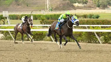 Regresa un crack del 2022: Busca tumbar a uno de los fijos del 5y6 en La Rinconada Regresa un crack del 2022: Busca tumbar a uno de los fijos del 5y6 en La Rinconada