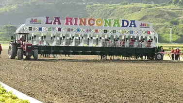 Misión Imposible: Esta Yunta va por la hazaña de quebrar 26 derrotas consecutivas en la selectiva Misión Imposible: Esta Yunta va por la hazaña de quebrar 26 derrotas consecutivas en la selectiva