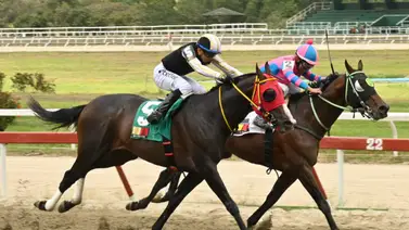 Ejemplar que fue favorito en su última vuelve al óvalo de La Rinconada tras 112 días sin correr Ejemplar que fue favorito en su última vuelve al óvalo de La Rinconada tras 112 días sin correr