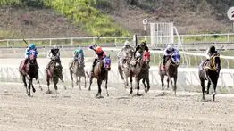 En la carrera de los acumulados del 5y6 participa un ejemplar que podría ser un temible rival y regresa tras 175 días sin correr