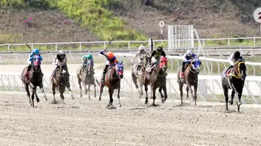 En la carrera de los acumulados del 5y6 participa un ejemplar que podría ser un temible rival y regresa tras 175 días sin correr En la carrera de los acumulados del 5y6 participa un ejemplar que podría ser un temible rival y regresa tras 175 días sin correr