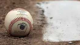 Tabla de posiciones de la LVBP tras la jornada inaugural en Lara