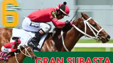 Este martes se desarrolla la exhibición de yearlings 2025 en Caracas Este martes se desarrolla la exhibición de yearlings 2025 en Caracas