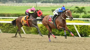 Retirada una de las fijas para el 5y6 dominical en La Rinconada Retirada una de las fijas para el 5y6 dominical en La Rinconada