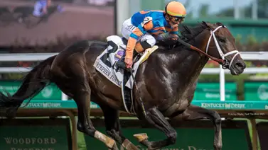 Mindframe cumplirá rol de semental después de correr la Breeders’ Cup Mindframe cumplirá rol de semental después de correr la Breeders’ Cup