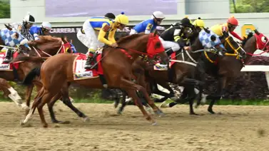 La Rinconada: Entérate del ajuste de la gran opción de Gaceta Hípica para sellar su primera victoria en el 5y6 La Rinconada: Entérate del ajuste de la gran opción de Gaceta Hípica para sellar su primera victoria en el 5y6