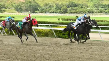 Potro que no está dentro de los más cotizados ajusta excelente para sorprender en el Clásico “Albert H. Cipriani (GII) en La Rinconada Potro que no está dentro de los más cotizados ajusta excelente para sorprender en el Clásico “Albert H. Cipriani (GII) en La Rinconada