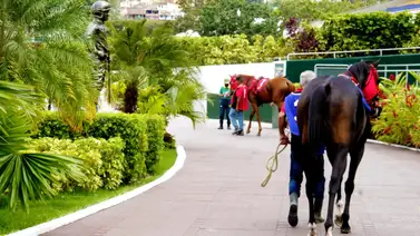 Atención La Rinconada: Una gran opción del 5y6 nacional también es retirada de la reunión 40 Atención La Rinconada: Una gran opción del 5y6 nacional también es retirada de la reunión 40