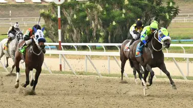 El secreto está en el ajuste: El ejemplar con jugosos dividendos listo para dar el batacazo en La Rinconada El secreto está en el ajuste: El ejemplar con jugosos dividendos listo para dar el batacazo en La Rinconada