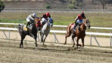 El tumba torre del 5y6 en La Rinconada: Este ejemplar ajustó contenido y es clave para los acumulados El tumba torre del 5y6 en La Rinconada: Este ejemplar ajustó contenido y es clave para los acumulados