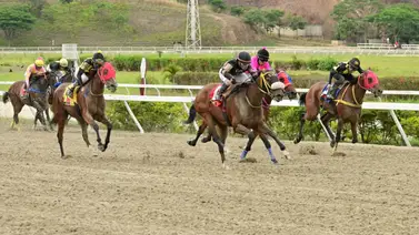 El secreto de La Rinconada: Los ejemplares con más fuerzas y la jugada larga para conseguir en la R40 El secreto de La Rinconada: Los ejemplares con más fuerzas y la jugada larga para conseguir en la R40