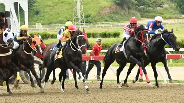 La Rinconada: Descubre la yegua que se anuncia como el robo de toda Venezuela para incluirla en tu cuadro del 5y6 La Rinconada: Descubre la yegua que se anuncia como el robo de toda Venezuela para incluirla en tu cuadro del 5y6