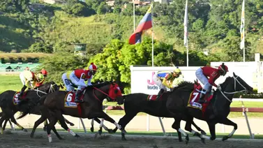 La Rinconada: Esta sería la posible nómina de ejemplares para el Clásico Simón Bolívar (GI) La Rinconada: Esta sería la posible nómina de ejemplares para el Clásico Simón Bolívar (GI)