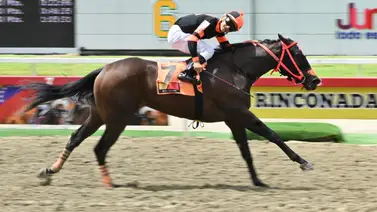 La Rinconada: Con un ajuste extraordinario Princess Warrrior queda lista para buscar un nuevo desafío en el ciclo no válido de la R40 La Rinconada: Con un ajuste extraordinario Princess Warrrior queda lista para buscar un nuevo desafío en el ciclo no válido de la R40