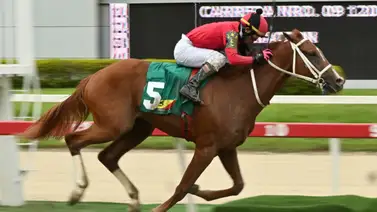 La Rinconada: Entérate del excelente ajuste de Bunker y así podrá buscar extender su racha de victoria en la R40 La Rinconada: Entérate del excelente ajuste de Bunker y así podrá buscar extender su racha de victoria en la R40