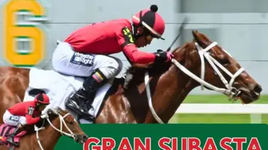 Un éxito rotundo: Presidente de Unicría revela el impacto real de la Gran Subasta Yearlings 2025 Un éxito rotundo: Presidente de Unicría revela el impacto real de la Gran Subasta Yearlings 2025