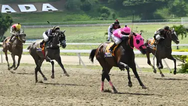 La Rinconada: Una de las presentadas por Henry Trujillo quedó retirada del 5y6 dominical La Rinconada: Una de las presentadas por Henry Trujillo quedó retirada del 5y6 dominical