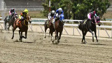 La Rinconada: Una opción diferente que puede vencer a La Súper Kat y Miss Indiana La Rinconada: Una opción diferente que puede vencer a La Súper Kat y Miss Indiana