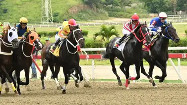 El mejor ajuste del jueves: Esta es la razón por la que este favorito es el imperdible para el ciclo no válido El mejor ajuste del jueves: Esta es la razón por la que este favorito es el imperdible para el ciclo no válido