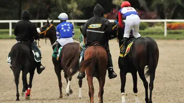 La Rinconada: Estos son los retirados de la Reunión N°40 del 19-10-2025 La Rinconada: Estos son los retirados de la Reunión N°40 del 19-10-2025