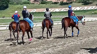 La Rinconada: Un nuevo miembro de la dinastía Regalado debuta como entrenador el domingo en la R40 La Rinconada: Un nuevo miembro de la dinastía Regalado debuta como entrenador el domingo en la R40