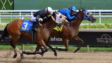Hijo de California Chrome gana en Gulfstream: Mayor King aporta el triunfo a Antonio Sano Hijo de California Chrome gana en Gulfstream: Mayor King aporta el triunfo a Antonio Sano