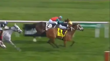 Final dramático:Potra Goats On A Tree se lleva la victoria del Evvie Jets del Campeonato Fall Starter en Belmont At The Big A Final dramático:Potra Goats On A Tree se lleva la victoria del Evvie Jets del Campeonato Fall Starter en Belmont At The Big A