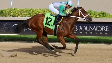 Back to Back con Stakes incluido para Emisael Jaramillo esta tarde en Gulfstream Park Back to Back con Stakes incluido para Emisael Jaramillo esta tarde en Gulfstream Park