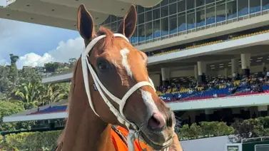 Final demoledor: Bunker se impone en el Clásico Albert H. Cipriani (GII) en La Rinconada Final demoledor: Bunker se impone en el Clásico Albert H. Cipriani (GII) en La Rinconada