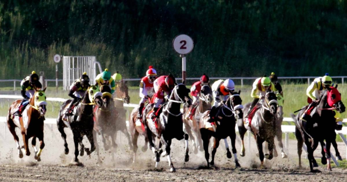 Clásico Internacional Simón Bolívar (GI): El gran evento de la reunión ...