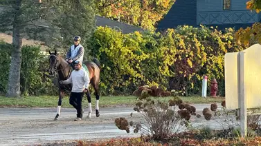 Breeders’ Cup: Sovereignty líder para la división Classic ejecutó su último trabajo en New York Breeders’ Cup: Sovereignty líder para la división Classic ejecutó su último trabajo en New York