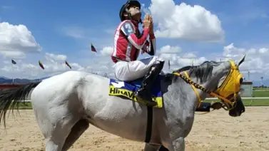 El desafío de la favorita: Paprika quiere dejar su huella en la nueva edición del clásico “Arturo Michelena” de Valencia El desafío de la favorita: Paprika quiere dejar su huella en la nueva edición del clásico “Arturo Michelena” de Valencia