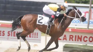 La selectiva Spring Quality presenta a su primer hijo en La Rinconada La selectiva Spring Quality presenta a su primer hijo en La Rinconada