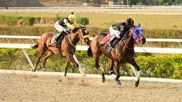 Hermana completa de un protagonista del Clásico Virgilio Decán (GIII) regresa a la pista de La Rinconada Hermana completa de un protagonista del Clásico Virgilio Decán (GIII) regresa a la pista de La Rinconada
