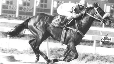 El reto de igualar la proeza de El Gran Sol y otros tres grandes corredores de la historia hípica en La Rinconada El reto de igualar la proeza de El Gran Sol y otros tres grandes corredores de la historia hípica en La Rinconada