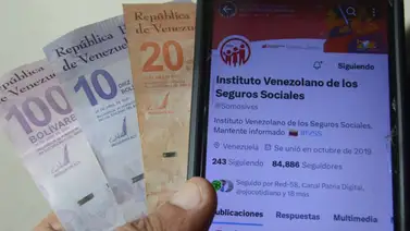 Pension IVSS Pension IVSS