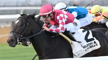 Junior Alvarado se llevó otro Stakes por $150,000 en New York Junior Alvarado se llevó otro Stakes por $150,000 en New York