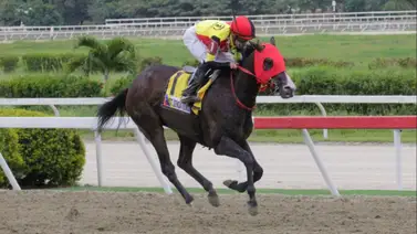 Fast Sensations en el Simón Bolívar: Lugo confía en su yegua para la gloria en La Rinconada Fast Sensations en el Simón Bolívar: Lugo confía en su yegua para la gloria en La Rinconada