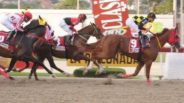 Último minuto: Descubre al primer retirado del Clásico Internacional Simón Bolívar (GI) Último minuto: Descubre al primer retirado del Clásico Internacional Simón Bolívar (GI)