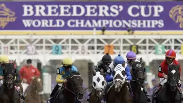 Estos son los ejemplares de tres y más años Pre-Inscritos para el certamen numero 42 de las Breeders' Cup Estos son los ejemplares de tres y más años Pre-Inscritos para el certamen numero 42 de las Breeders' Cup