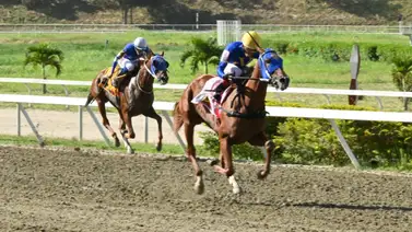 La Rinconada: Revelado el ajuste contenido de la gran opción de Gaceta Hípica que puede hacerte ganar en el 5y6 La Rinconada: Revelado el ajuste contenido de la gran opción de Gaceta Hípica que puede hacerte ganar en el 5y6