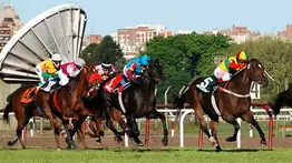 La Rinconada: El mejor ajuste se lo lleva una sorpresa de Gaceta Hípica antes de su debut en el 5y6 de la R41
