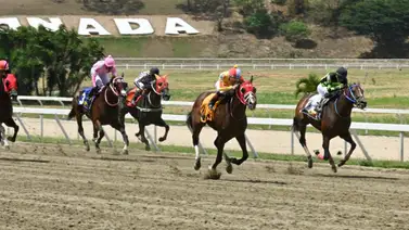 Análisis Hípico: Este caballo realiza un ajuste cómodo y está listo para tumbar una de las torres del ciclo no válido en La Rinconada Análisis Hípico: Este caballo realiza un ajuste cómodo y está listo para tumbar una de las torres del ciclo no válido en La Rinconada