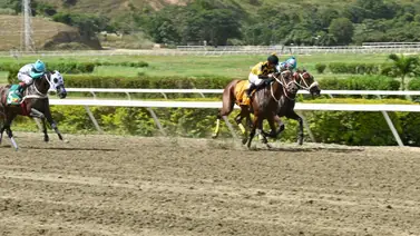 Cuidado con este ejemplar: El ajuste excelente que venderá cara su derrota en La Rinconada Cuidado con este ejemplar: El ajuste excelente que venderá cara su derrota en La Rinconada