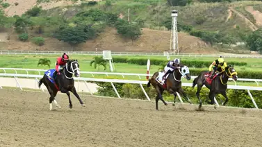 En busca de desquite: El ejemplar que ajusta muy bien tras ser muy jugado en su anterior en La Rinconada En busca de desquite: El ejemplar que ajusta muy bien tras ser muy jugado en su anterior en La Rinconada