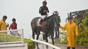 El secreto de Special Element: Su ajuste contenido lo deja listo para el Magno Evento en La Rinconada El secreto de Special Element: Su ajuste contenido lo deja listo para el Magno Evento en La Rinconada