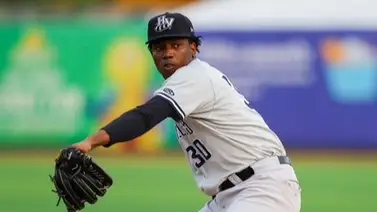 LVBP: Leones del Caracas cerca de contar con lanzador dominicano de los Yankees LVBP: Leones del Caracas cerca de contar con lanzador dominicano de los Yankees
