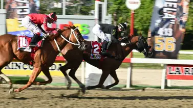 La Rinconada: Con el ajuste inmenso de Padel quedó listo para estar presente en el magno evento especial del hipismo venezolano La Rinconada: Con el ajuste inmenso de Padel quedó listo para estar presente en el magno evento especial del hipismo venezolano