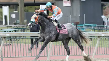 ¡Entérate de los detalles! Paco López tiene varios compromisos de monta la próxima semana  ¡Entérate de los detalles! Paco López tiene varios compromisos de monta la próxima semana